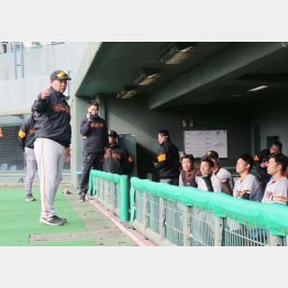 新人指導者として奮闘する阿部二軍監督（左）／（Ｃ）日刊ゲンダイ
