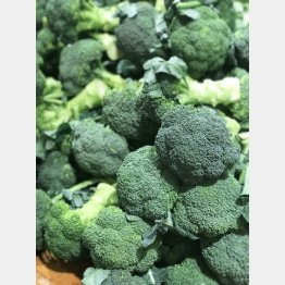 ブロッコリーに含まれるスルフォラファンに効用が（Ｃ）日刊ゲンダイ