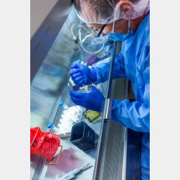 ピッツバーグ大ではワクチンの研究が進められているが（Ｃ）ロイター