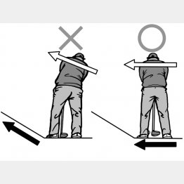 イラスト・渡辺隆司