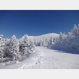 スキー客が激減（写真はイメージ）
