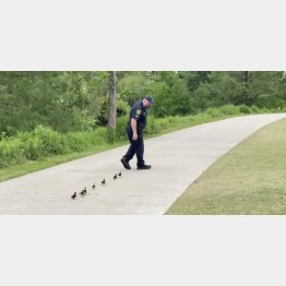 （プリシラさんのツイッターから）