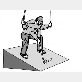 イラスト・渡辺隆司