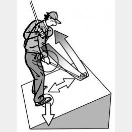 イラスト・渡辺隆司