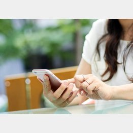 月額数百円で超トク、楽しみがいっぱい