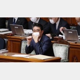 こんな政府に命を預けられるのか（Ｃ）日刊ゲンダイ