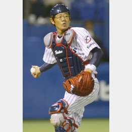 野村野球の扇の要（Ｃ）日刊ゲンダイ