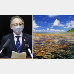 連休中の沖縄県への訪問自粛を呼び掛ける玉城デニー知事（沖縄・宮古島のサンゴ礁）／（Ｃ）アマナイメージズ／共同通信イメージズ
