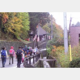 歩こう会（提供写真）