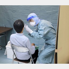 PCR検査の感度に関しては未知数（成田空港でのPCR検査）／（Ｃ）共同通信社