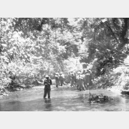 ガダルカナル島、ホニアラのジャングルを清流沿いに行く日本兵遺骨調査団一行＝派遣団員撮影、1955年（昭和30年）2月11日（Ｃ）共同通信社
