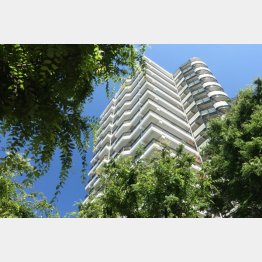 マンション理事会は5～6月がピーク