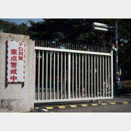 （撮影：友永翔大）