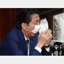 世界各国は国民の命を何よりも重視しているのに、日本は検査すら重きを置いていない（安倍首相）／（Ｃ）日刊ゲンダイ
