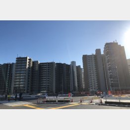 晴海選手村はどうなるのか（Ｃ）日刊ゲンダイ