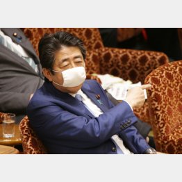 何も考えていない（11日、参院予算委員会での安倍首相）／（Ｃ）日刊ゲンダイ