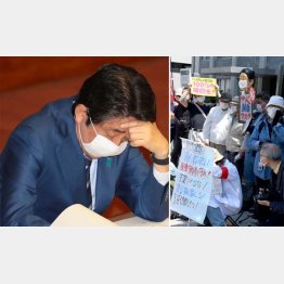 国民をナメている（安倍首相）、怒って当然だ（Ｃ）日刊ゲンダイ