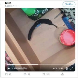 （マイリさんのツイッターから）