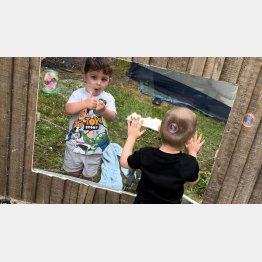 （ＦＯＸニュースのフェイスブックから）