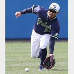 2020年春のキャンプで守備練習する青木（Ｃ）日刊ゲンダイ