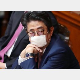 戦略なし（安倍首相）／（Ｃ）日刊ゲンダイ