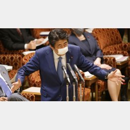 嘘と自慢が主な業務に（安倍首相）／（Ｃ）日刊ゲンダイ