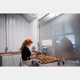 食肉工場で鹿肉を計量する女性（米・ミシガン州）／（Ｃ）ロイター