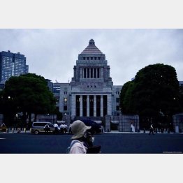 拉致解決に政治的な立場は関係ない（撮影：友永翔大）