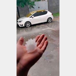 （インスタグラムから）