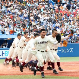 3年前の西東京大会は早実の清宮がいてスタンドは満席だった（Ｃ）日刊ゲンダイ