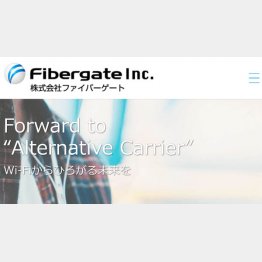 （ファイバーゲートの公式HP）