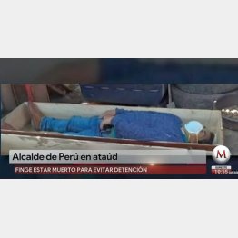 懸命に死んだふり…（メキシコ紙「ミレニオ」のユーチューブから）