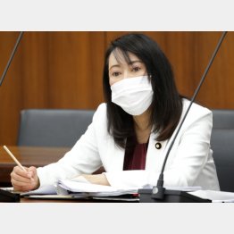 森雅子法相は始終言葉に詰まり沈黙…（Ｃ）日刊ゲンダイ