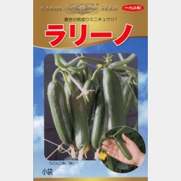 病気に強い「ラリーノ」がオススメ（Ｃ）日刊ゲンダイ
