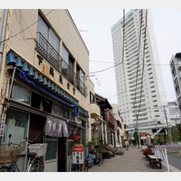 昭和7年創業（Ｃ）日刊ゲンダイ