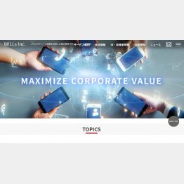 （ウィルズの公式HP）