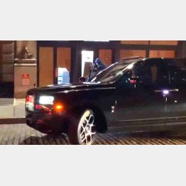 （ツイッターから）