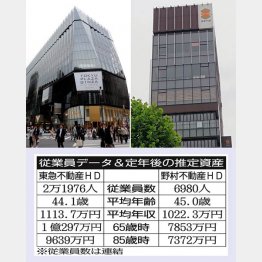 東急不動産HDと野村不動産HD（Ｃ）日刊ゲンダイ