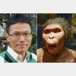 （Ｃ）日刊ゲンダイ