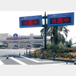 2月末から休園中（Ｃ）日刊ゲンダイ