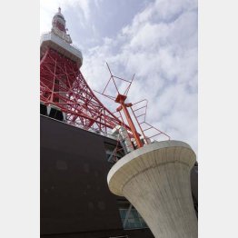 鮮やかなインターナショナルオレンジ（Ｃ）日刊ゲンダイ