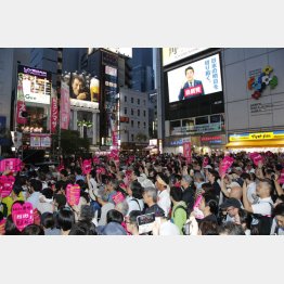 “れいわ旋風”よ、もう一度…（Ｃ）日刊ゲンダイ