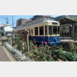 都電荒川線（写真）藤田崇義