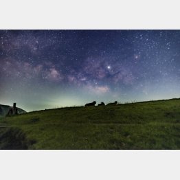 熊本県南阿蘇村の満天の星（提供写真）