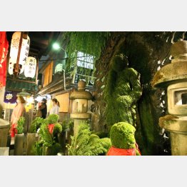 戦火もくぐり抜けた水掛不動尊（Ｃ）日刊ゲンダイ