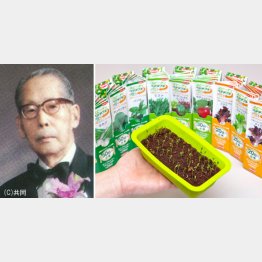 サカタのタネ創業者の坂田武雄氏（Ｃ）日刊ゲンダイ