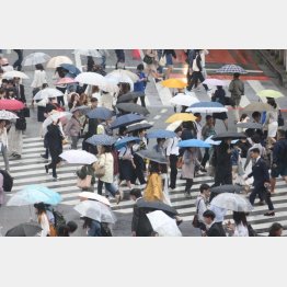 雨が楽しくなる？（Ｃ）日刊ゲンダイ