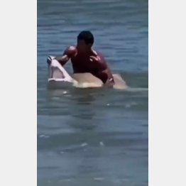 この動画、実は…（FOX5のツイッターから）