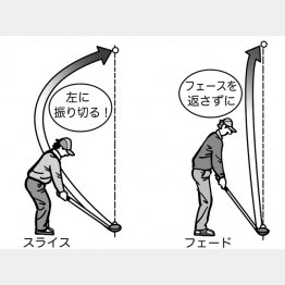 イラスト・渡辺隆司（Ｃ）日刊ゲンダイ