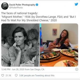 （写真家デビッド・ポーラーさんのツイートから）